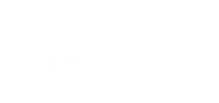 Plataforma de Ensino a distância VALE - Colabor